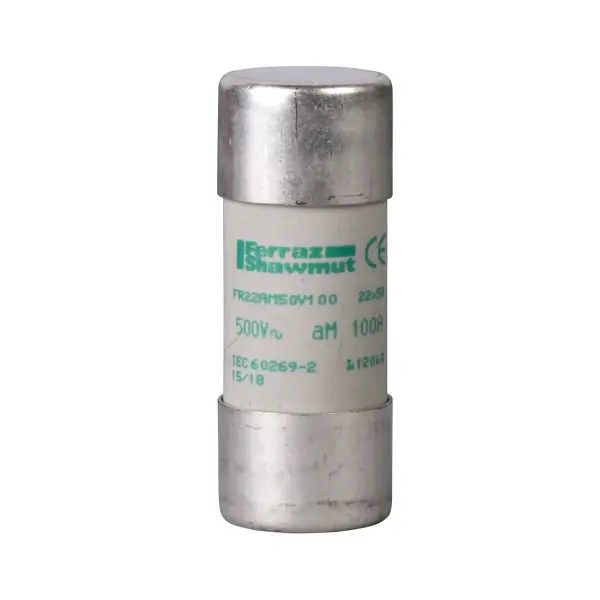 Schneider Electric - DF2FA125 - NFC kartuş sigortalar, TeSys GS, silindirik, 22mm x 58mm, sigorta tipi aM, 400VAC, 125A, vurucusuz - 1