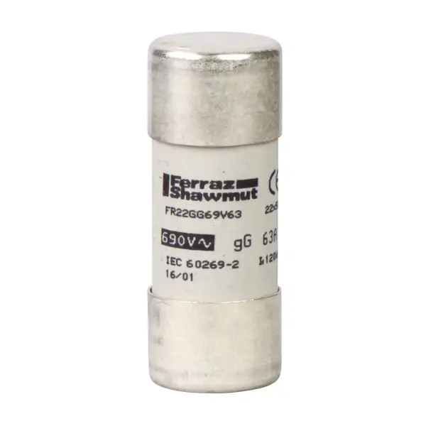 Schneider Electric - DF2FN100 - TeSys sigorta bağlantı kesici - sigorta kartuşu 22 x 58 mm gG 100 A - 1