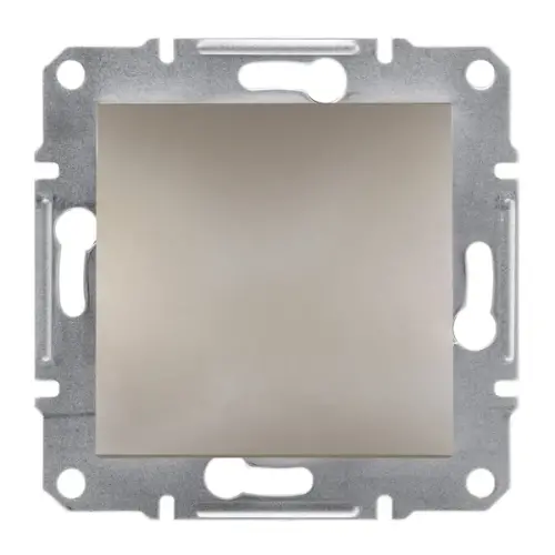 Schneider Electric - EPH5600169 - Asfora Plus Kör Kapak Bronz, Çerçevesiz - 1