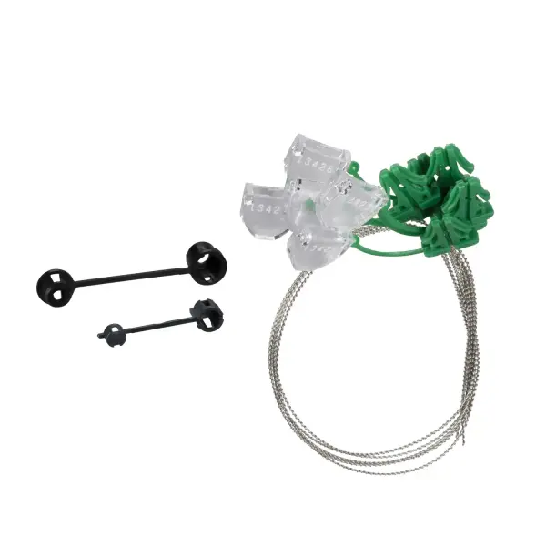 Schneider Electric - LV429375 - kurşun mühürleme aksesuarları - 1