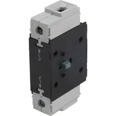 Schneider Electric - VZ12 - nötr kutup modülü - 80 A - V3 / V4 için - 1