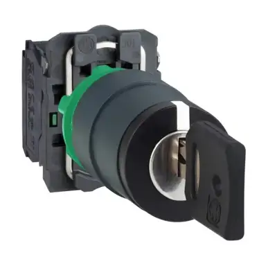 Schneider Electric - XB5AG33 - eksiksiz mandal buton Ø22 3 konumlu sabit 2NA Ronis 455 - 1