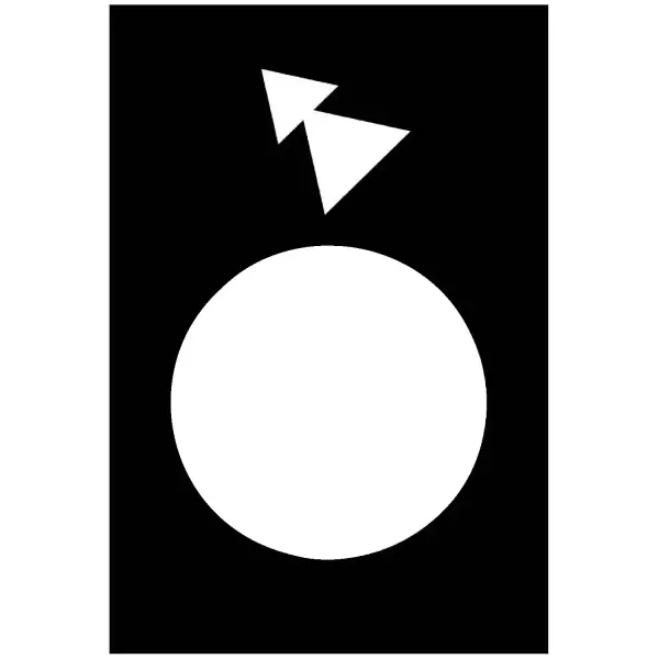 Schneider Electric - ZB2BY2918 - Marked legend, Harmony XAC, nameplate, 30 x 40mm, plastic, black, 22mm push button, white marked skew double arrowhead - 1